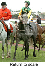 Return to scale (16096 bytes)