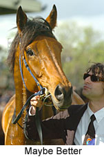 Maybe Better (19327 bytes)