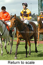 Return to scale (16096 bytes)