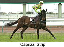 Caprizzi Strip (19327 bytes)