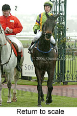 Return to scale (16096 bytes)