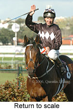 Return to scale (16096 bytes)