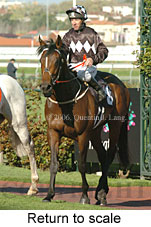 Return to scale (16096 bytes)