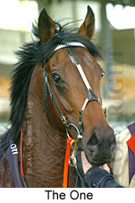 The One (19327 bytes)