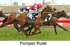 Pompeii Ruler (19327 bytes)