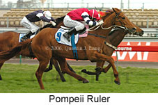 Pompeii Ruler (19327 bytes)