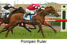 Pompeii Ruler (19327 bytes)