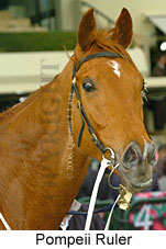 Pompeii Ruler (19327 bytes)