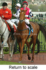 Return to scale (16096 bytes)