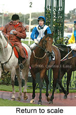 Return to scale (16096 bytes)