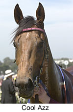 r4coolazz2.jpg (9926 bytes)