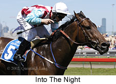 r5intothenight.jpg (16017 bytes)