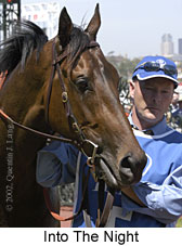 r5intothenight2.jpg (14540 bytes)