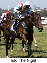 r5intothenight3.jpg (16268 bytes)