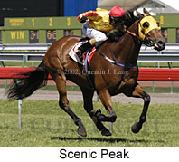 r6scenicpeak.jpg (16109 bytes)