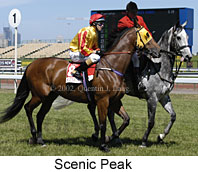 r6scenicpeak4.jpg (15895 bytes)