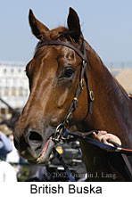 r7britishbuska3.jpg (11594 bytes)