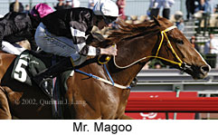 r9mrmagoo2.jpg (16952 bytes)