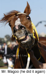 r9mrmagoo3.jpg (11998 bytes)