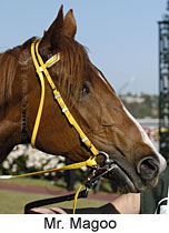 r9mrmagoo4.jpg (12155 bytes)