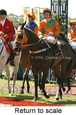 Return to scale (17769 bytes)