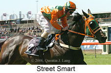 Street Smart (18507 bytes)