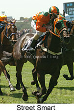 Street Smart (18507 bytes)