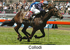 Collodi (18507 bytes)