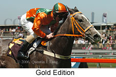 Gold Edition (18507 bytes)