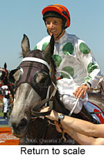 Return to scale (17769 bytes)