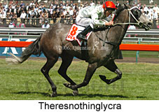 Theresnothinglycra (18507 bytes)