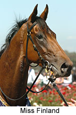 Miss Finland (17076 bytes)