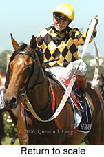 Return to scale (17769 bytes)