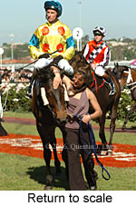 Return to scale (17769 bytes)