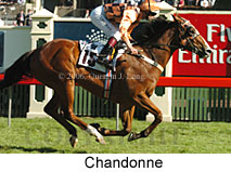 Chandonne (18507 bytes)