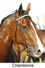 Chandonne (18507 bytes)