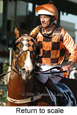 Return to scale (17769 bytes)