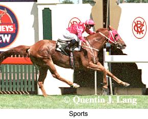 5sports2.jpg (18463 bytes)