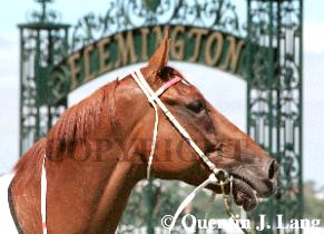 5sports3.jpg (16013 bytes)