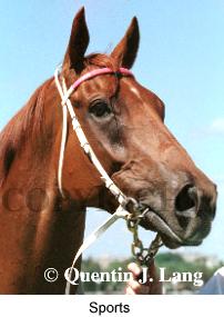 5sports4.jpg (12427 bytes)