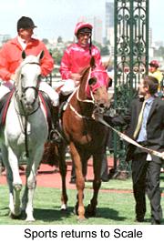 5sportstoscale.jpg (15634 bytes)