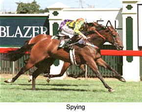 6spying1.jpg (19049 bytes)