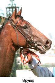 6spying2.jpg (9144 bytes)