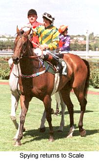 6spyingtoscale.jpg (19869 bytes)