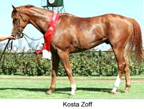 7kostazoff2.jpg (17595 bytes)