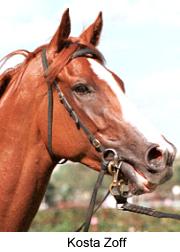 7kostazoff3.jpg (9452 bytes)