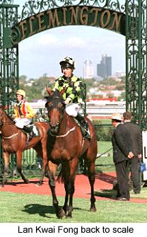 8lankwaifungtoscale.jpg (22986 bytes)