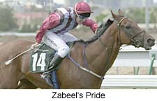 r1zabeelspride2.jpg (13996 bytes)