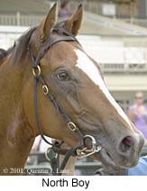 r2northboy3.jpg (13787 bytes)