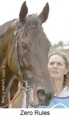 r3zerorules2.jpg (11129 bytes)